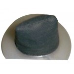 Hoover,Akkusauger,Filter,