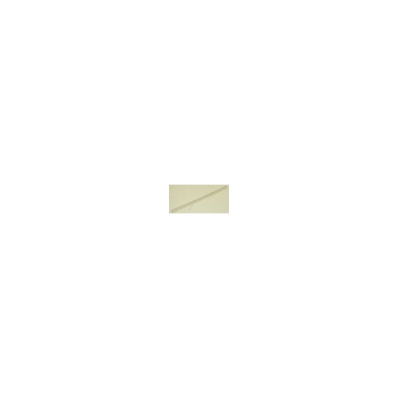 Saeco,Milch,Schlauch,Incanto,