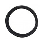 AEG Flusensieb Dichtung