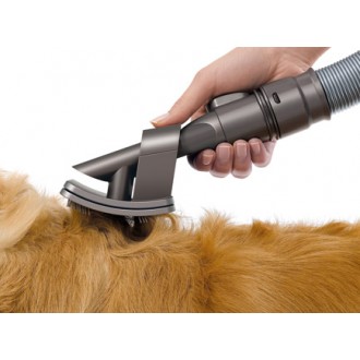 Dyson,Hundebürste,