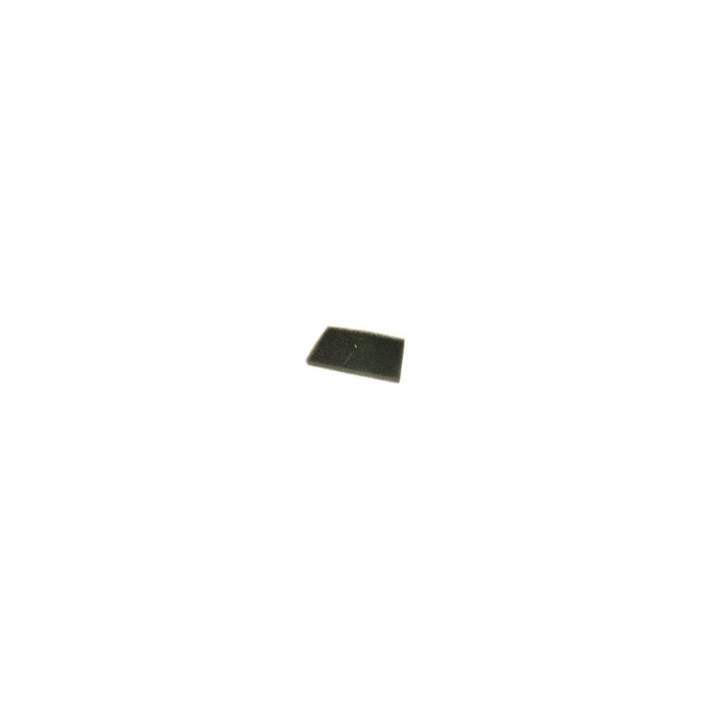 Philips Staubsaugerfilter Q814413
