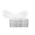 Wassertank Rowenta Luftbefeuchter
