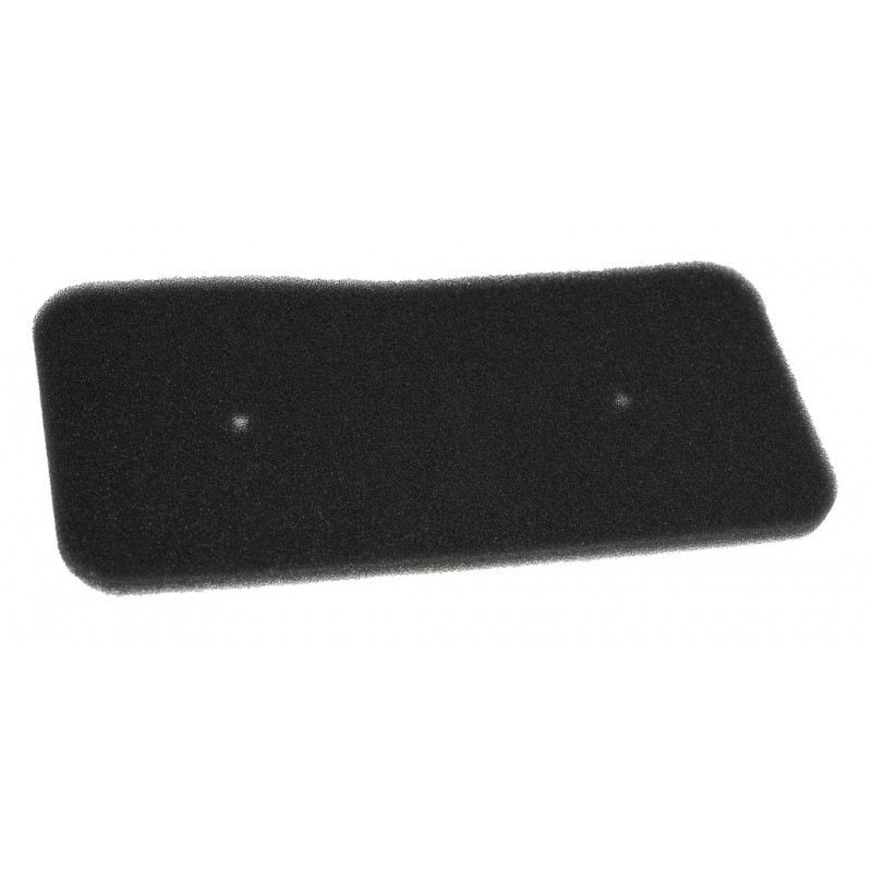 Hoover Schwammfilter D231776
