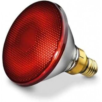 Beurer Infrarot Lampe C289456