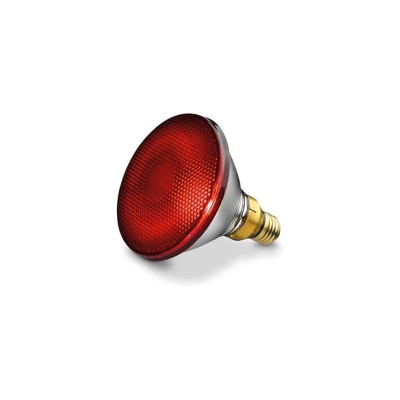 Beurer Infrarot Lampe C289456